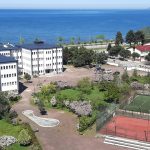 Beşikdüzü Emlak Ofisi: Trabzon'un Sakin Limanı
